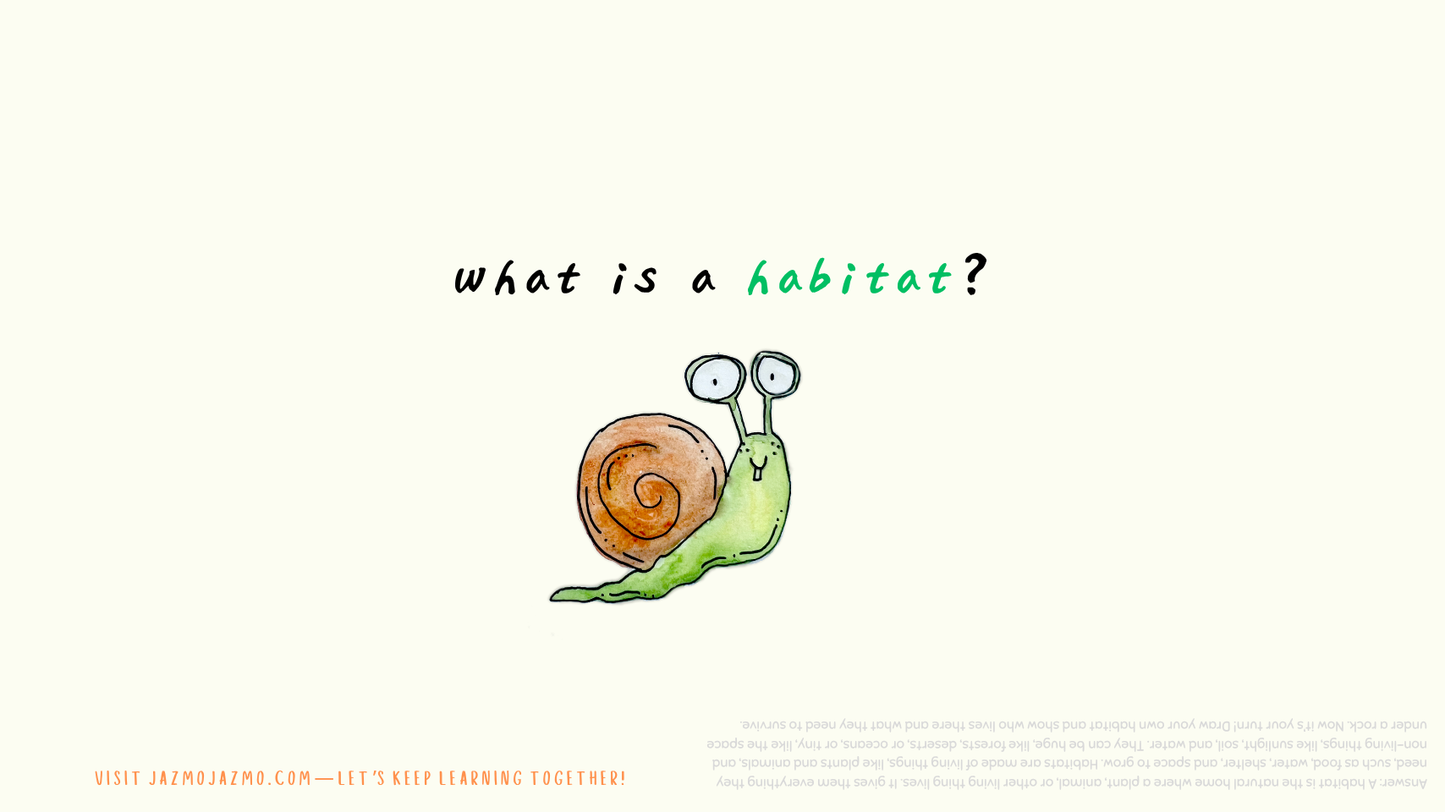 Brain Teasers